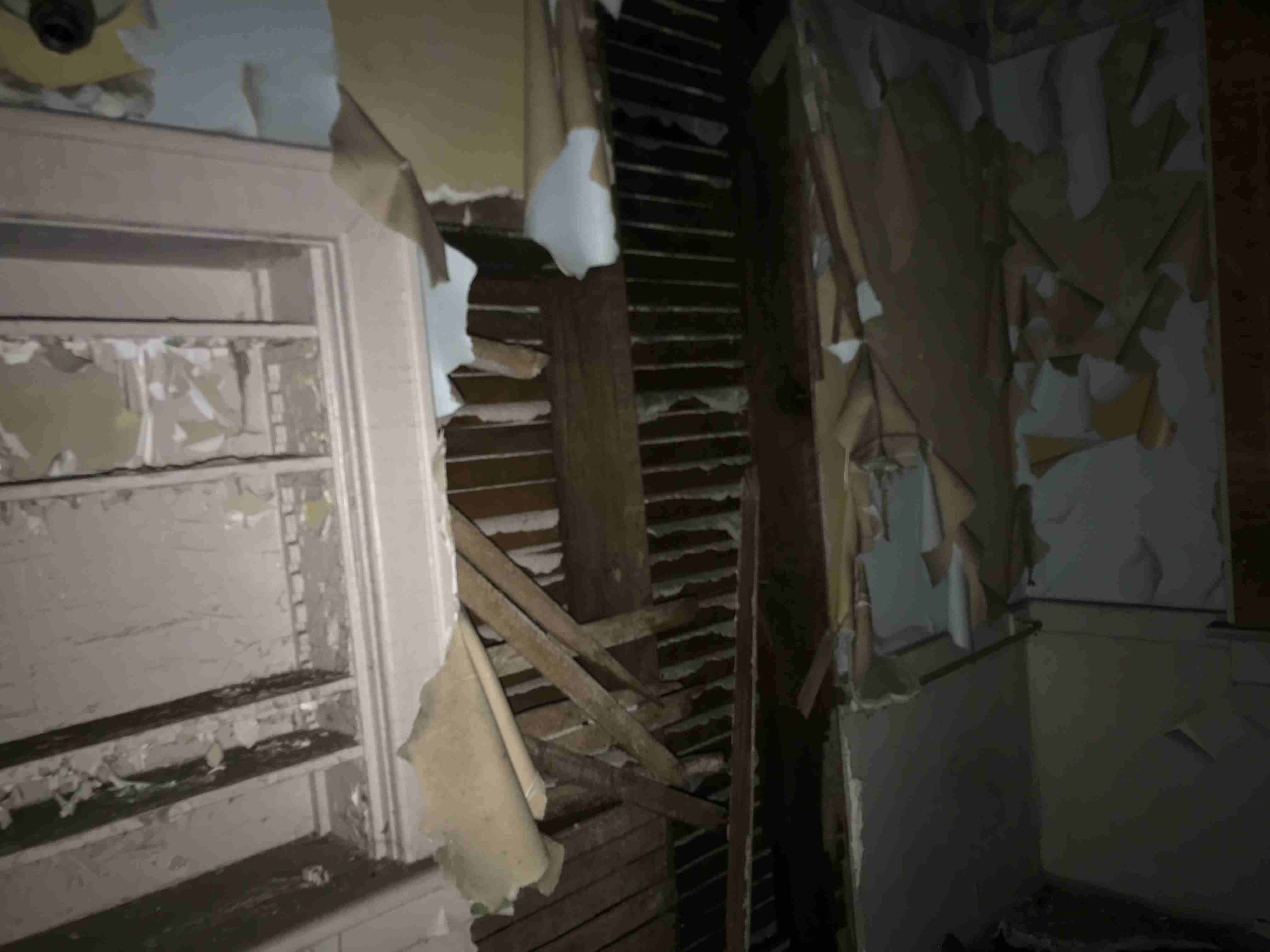 Photo Aug 20, 10 18 19 AM.jpg